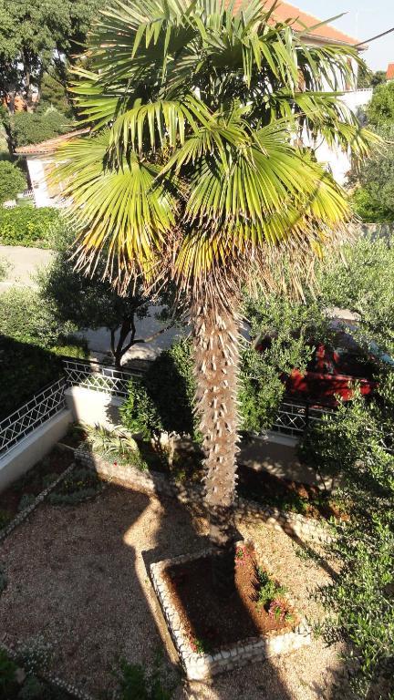 זאדאר Guest Accommodation Neno מראה חיצוני תמונה
