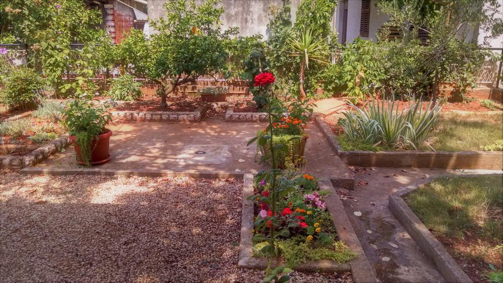 זאדאר Guest Accommodation Neno מראה חיצוני תמונה